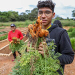 Estudantes de São Sebastião visitam horta comunitária do Alto Mangueiral