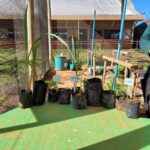 Curso gratuito ensina a comunidade a criar e cuidar de viveiros