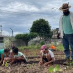 Arniqueira ganha primeiro Horto Medicinal Biodinâmico