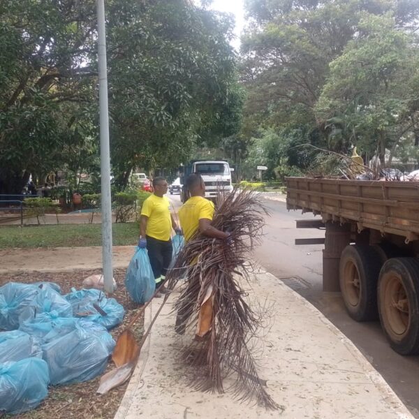 Plano Piloto recebe mutirão de limpeza e de…