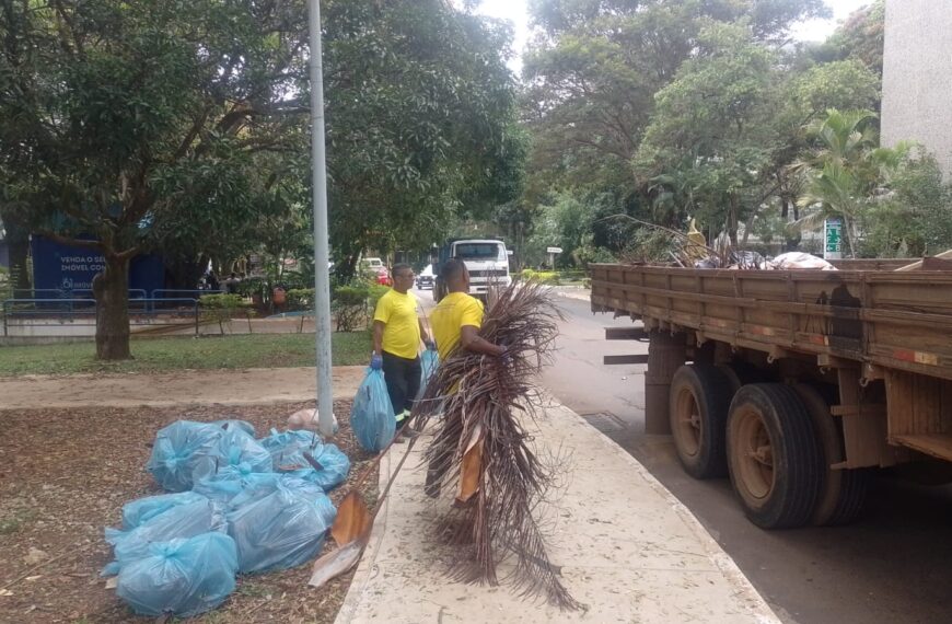 Plano Piloto recebe mutirão de…