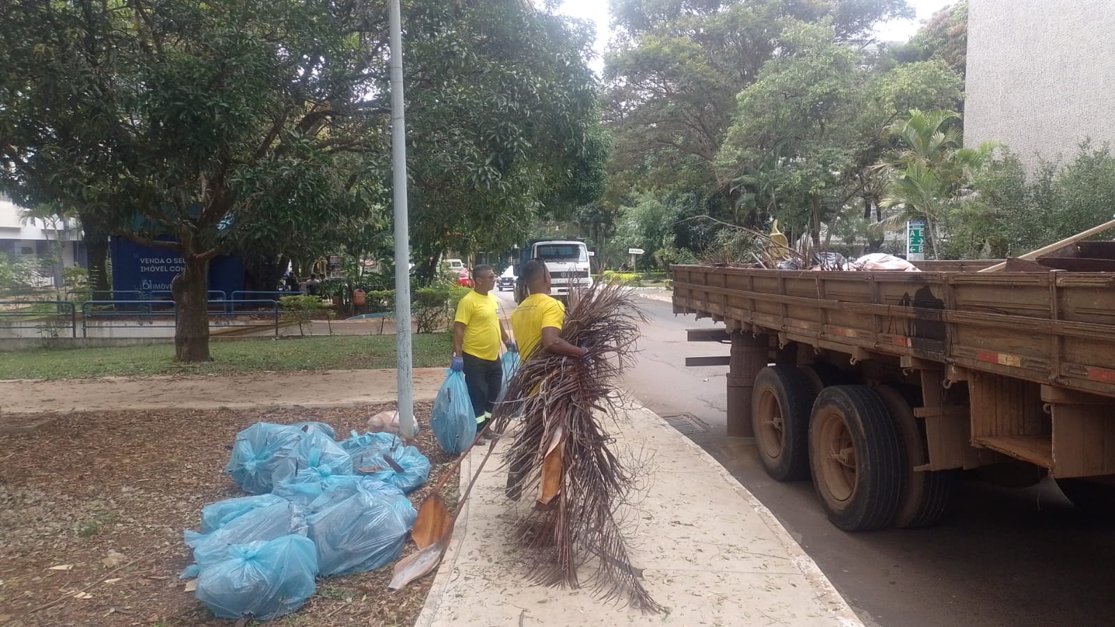 Plano Piloto recebe mutirão de limpeza e de serviços de manutenção
