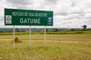Parque Gatumé, em Samambaia, será cercado para preservação…