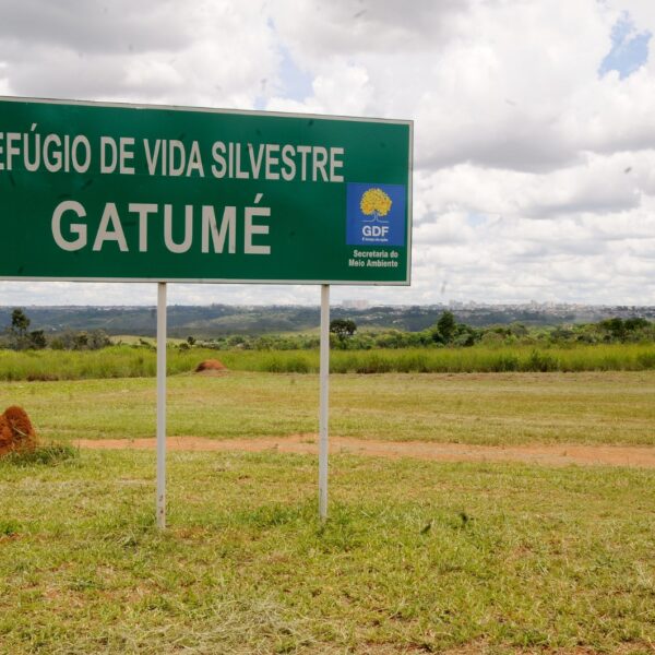 Parque Gatumé, em Samambaia, será cercado para preservação&hellip;