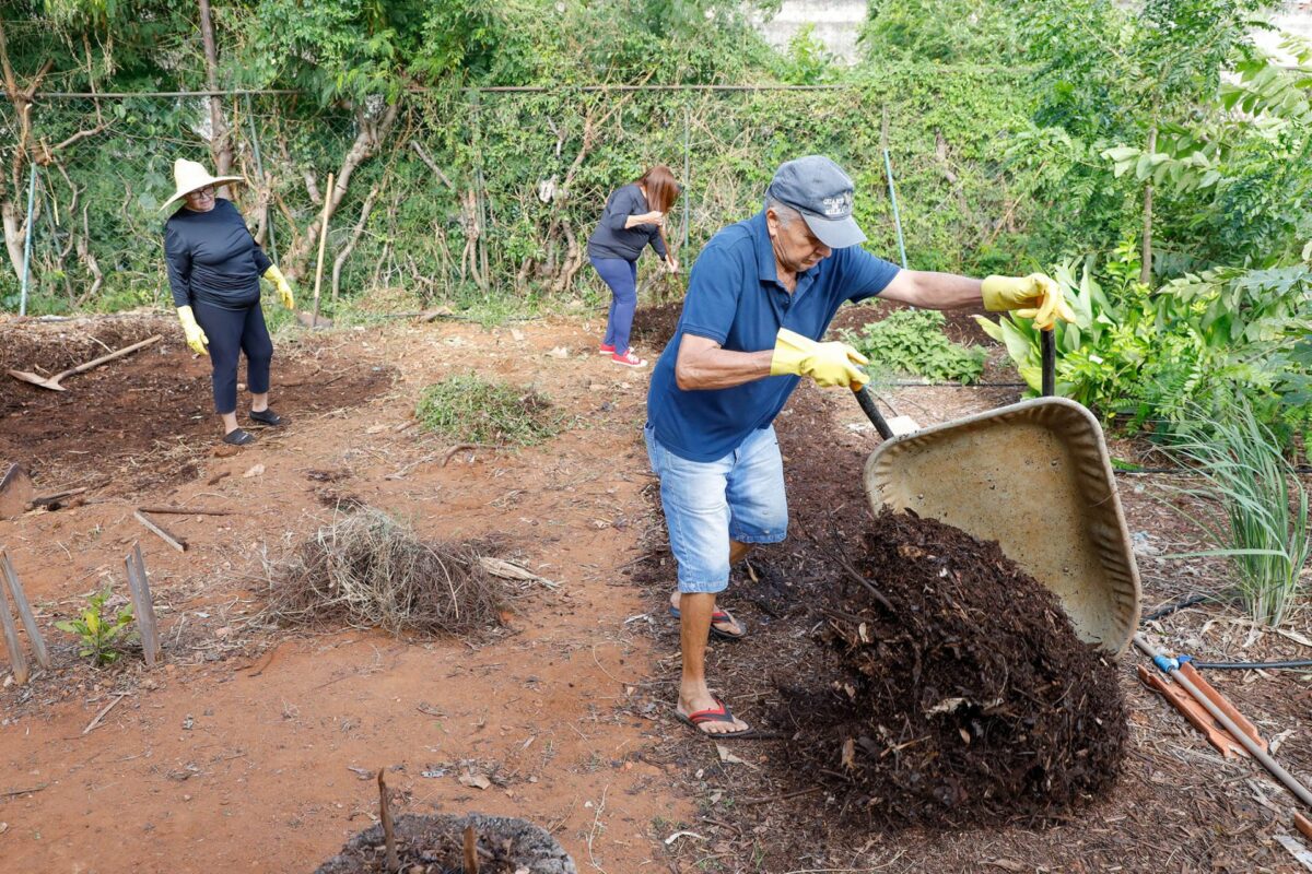 Hortos comunitários promovem bem-estar físico e mental nas unidades básicas de saúde do DF