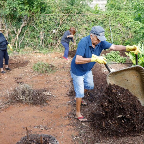 Hortos comunitários promovem bem-estar físico e mental nas…