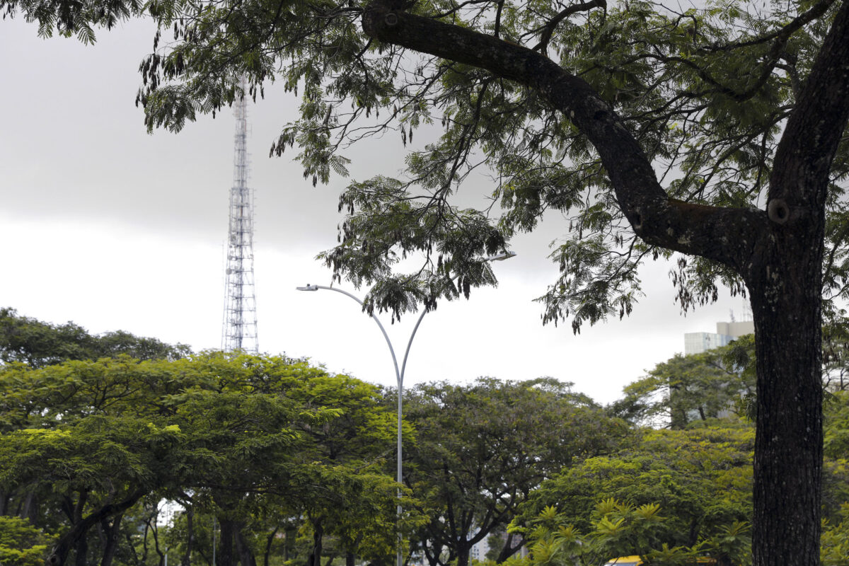 Cidade-parque, Brasília é a quinta capital mais arborizada do país