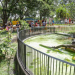 Jardim Botânico e Zoológico de Brasília mais do que dobraram o número de visitantes com programa Lazer para Todos
