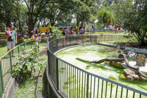 Jardim Botânico e Zoológico de Brasília mais do…