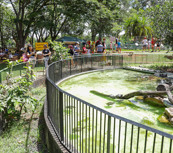 Jardim Botânico e Zoológico de Brasília mais do…