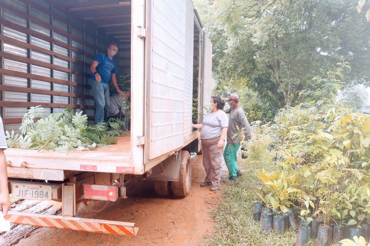 Governo do DF amplia apoio a produtores rurais de baixa renda com transporte gratuito de insumos agropecuários