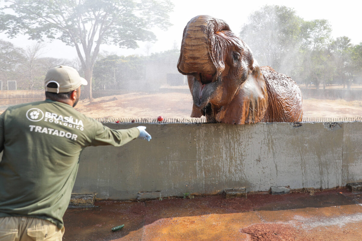 Lazer para Todos reuniu quase 40 mil visitantes no Zoológico e Jardim Botânico nos últimos três domingos