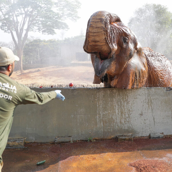 Lazer para Todos reuniu quase 40 mil visitantes&hellip;