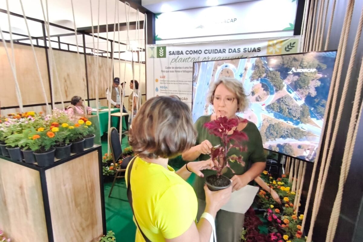 Novacap divulga ações e promove solidariedade em estande na AgroBrasília