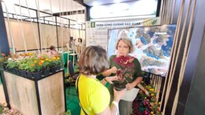 Novacap divulga ações e promove solidariedade em estande…