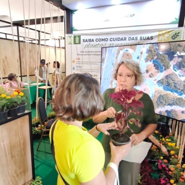 Novacap divulga ações e promove solidariedade em estande&hellip;