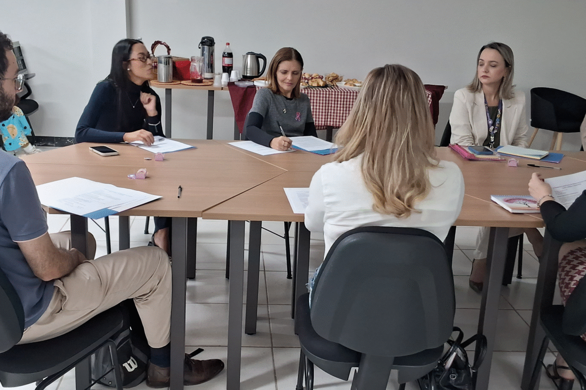 Comitê gestor do Observatório de Violência contra a Mulher e Feminicídio debate planejamento para 2026