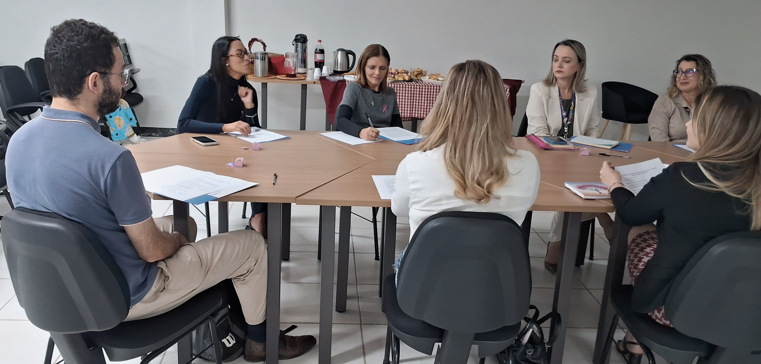 Comitê gestor do Observatório de Violência contra a Mulher e Feminicídio debate planejamento para 2026