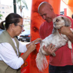 Campanha de vacinação antirrábica chega ao fim neste sábado (1º)