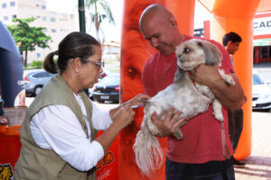 Campanha de vacinação antirrábica chega ao fim neste…