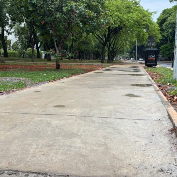 Calçadas das quadras residenciais e comerciais da Asa…