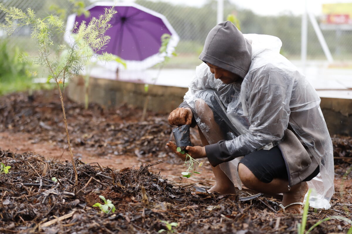 UBS 5 do Riacho Fundo II ganha horto agroflorestal