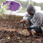 UBS 5 do Riacho Fundo II ganha horto agroflorestal 