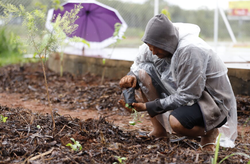 UBS 5 do Riacho Fundo II ganha horto agroflorestal 