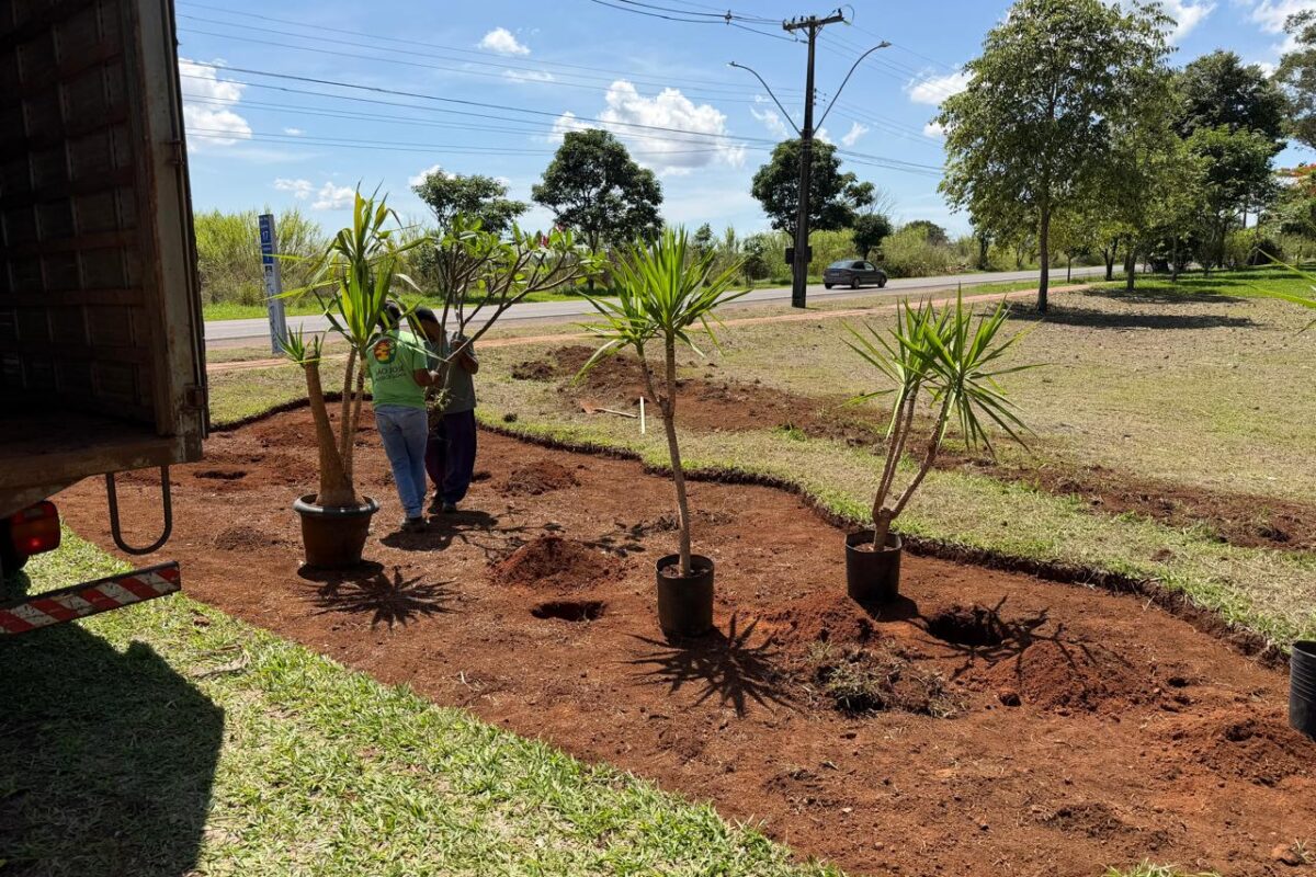 Programa Adote uma Praça chega ao Park Way e fortalece participação da comunidade