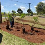 Programa Adote uma Praça chega ao Park Way e fortalece participação da comunidade