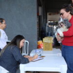 Campanha antirrábica: Saúde vacina 53 mil animais em outubro