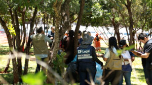 Ação de acolhimento à população em situação de&hellip;