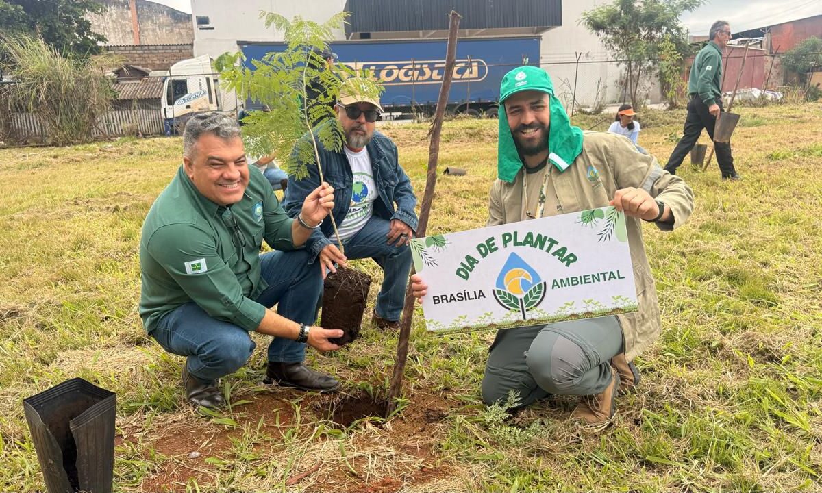 Secretaria do Meio Ambiente coloca o DF como referência em proteção ao bioma Cerrado