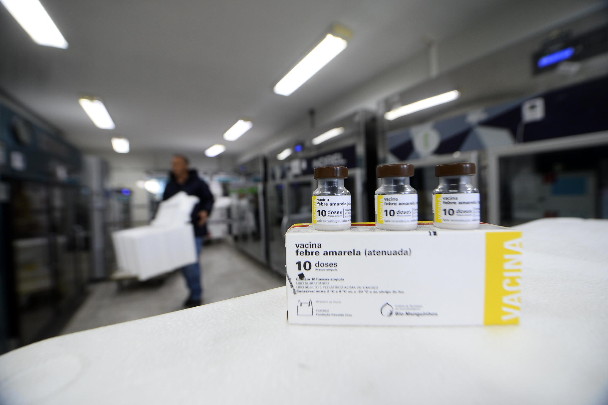 DF recebe 50 mil doses de vacinas contra a febre amarela