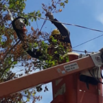 Lago Norte e Sudoeste terão desligamento de energia nesta segunda-feira (24)